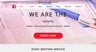 essay experts inc